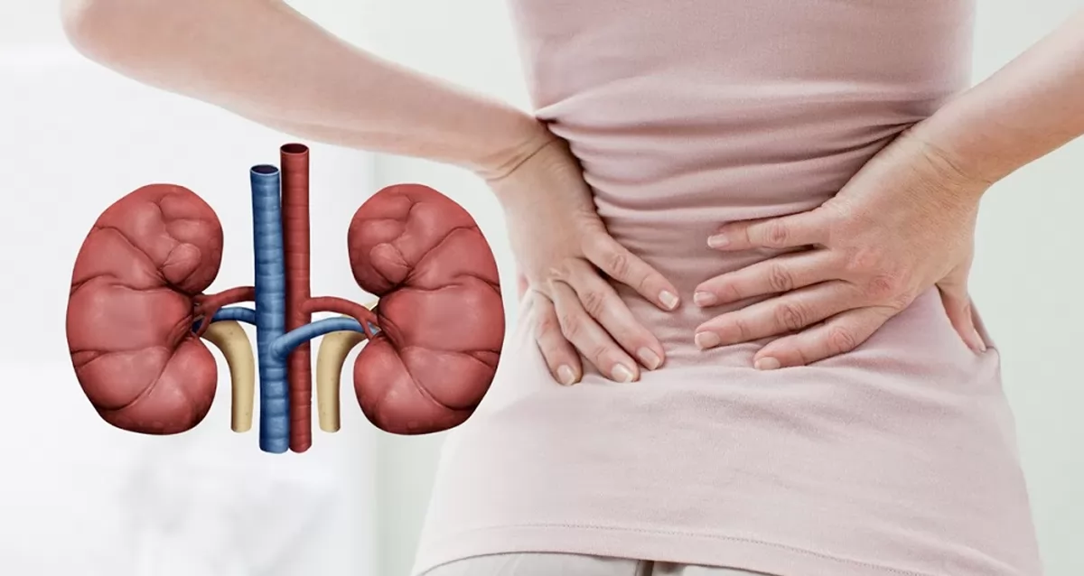 Болят почки при отравлении. Болят почки при отравлении. Смп при почечной колик. Симптомы при почечной колике. Болят почки при отравлении.